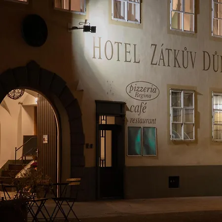 Zatkuv Dum 호텔