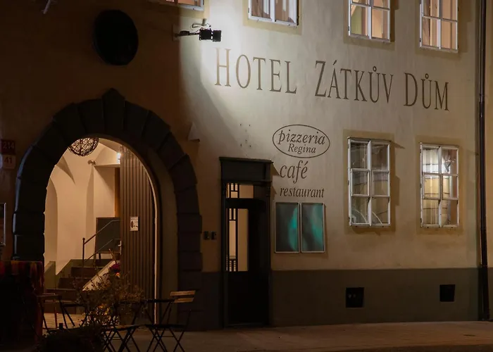 Zatkuv Dum 호텔